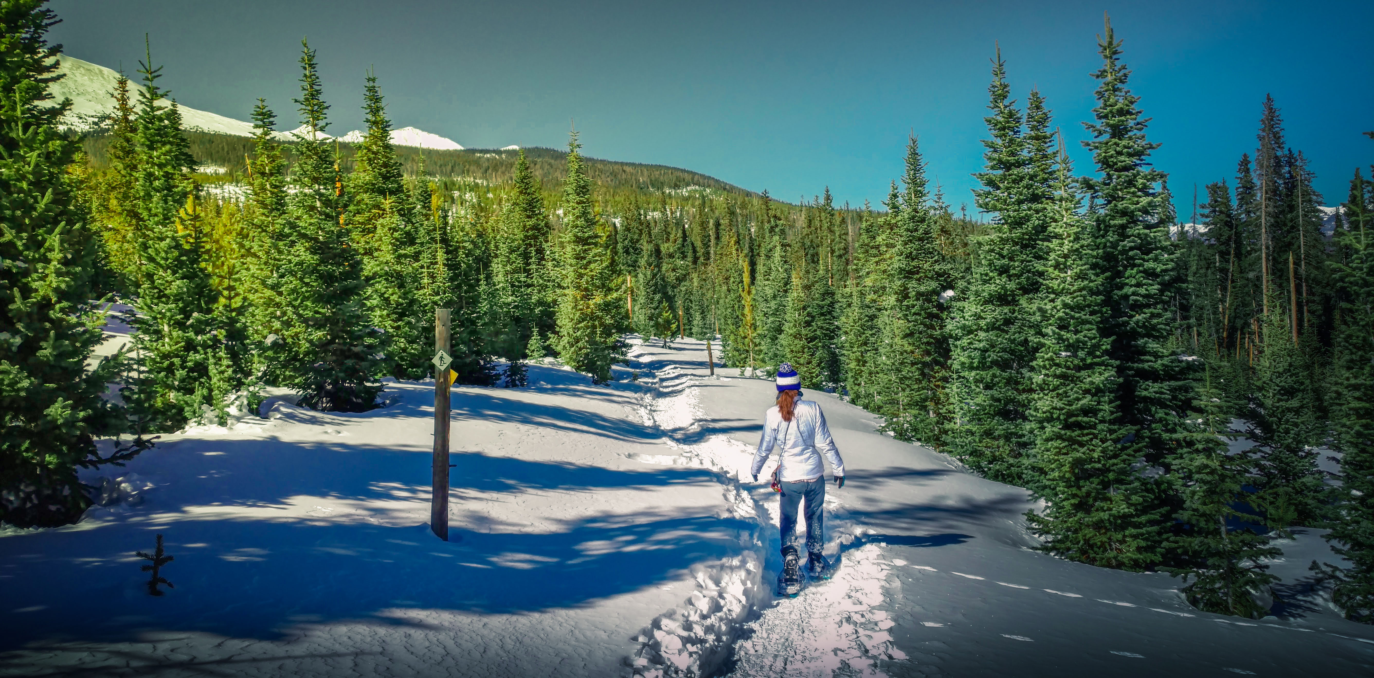 Kat snowshoeing in a snowy wooded setting with mountains in background.