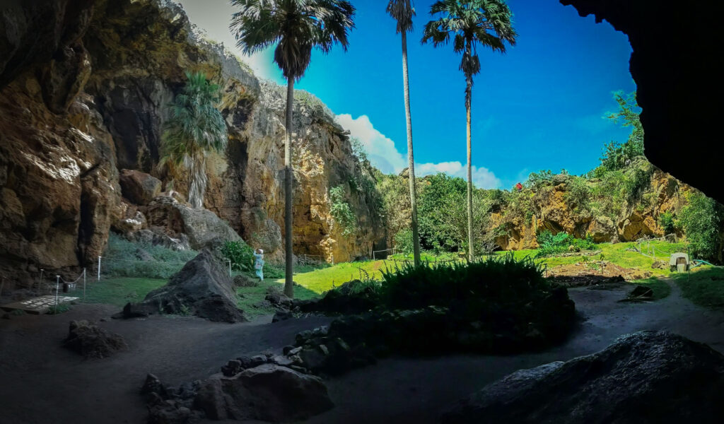 Makauwahi Cave entrance with palm trees.