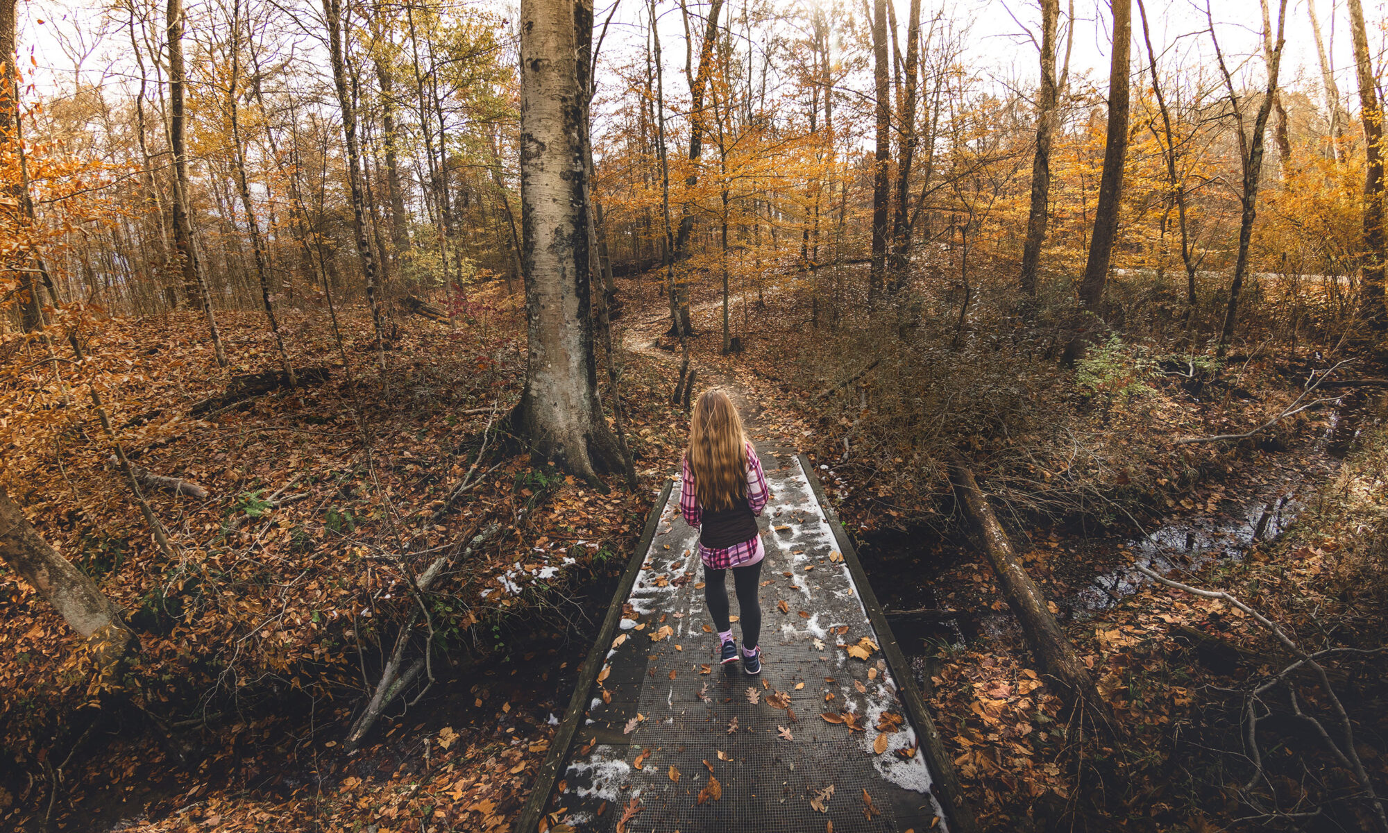 Woman hiking in autumn wooded area, Brum Woods, Batesville, Indiana.