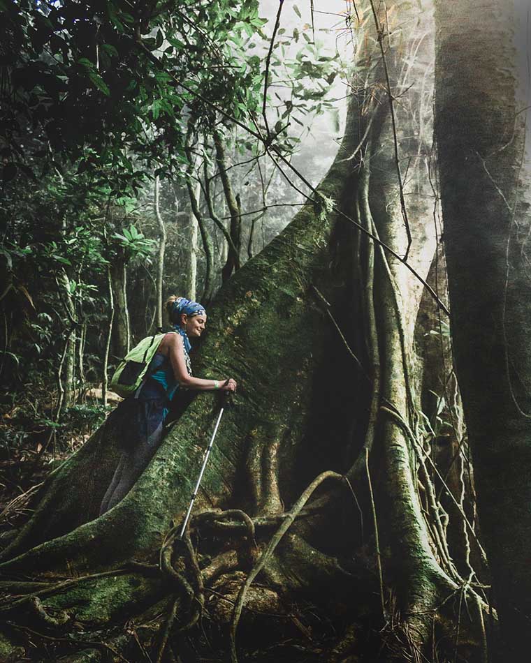 Woman hiker hugging enormous tree in the Atlantic Forest of Brazil.