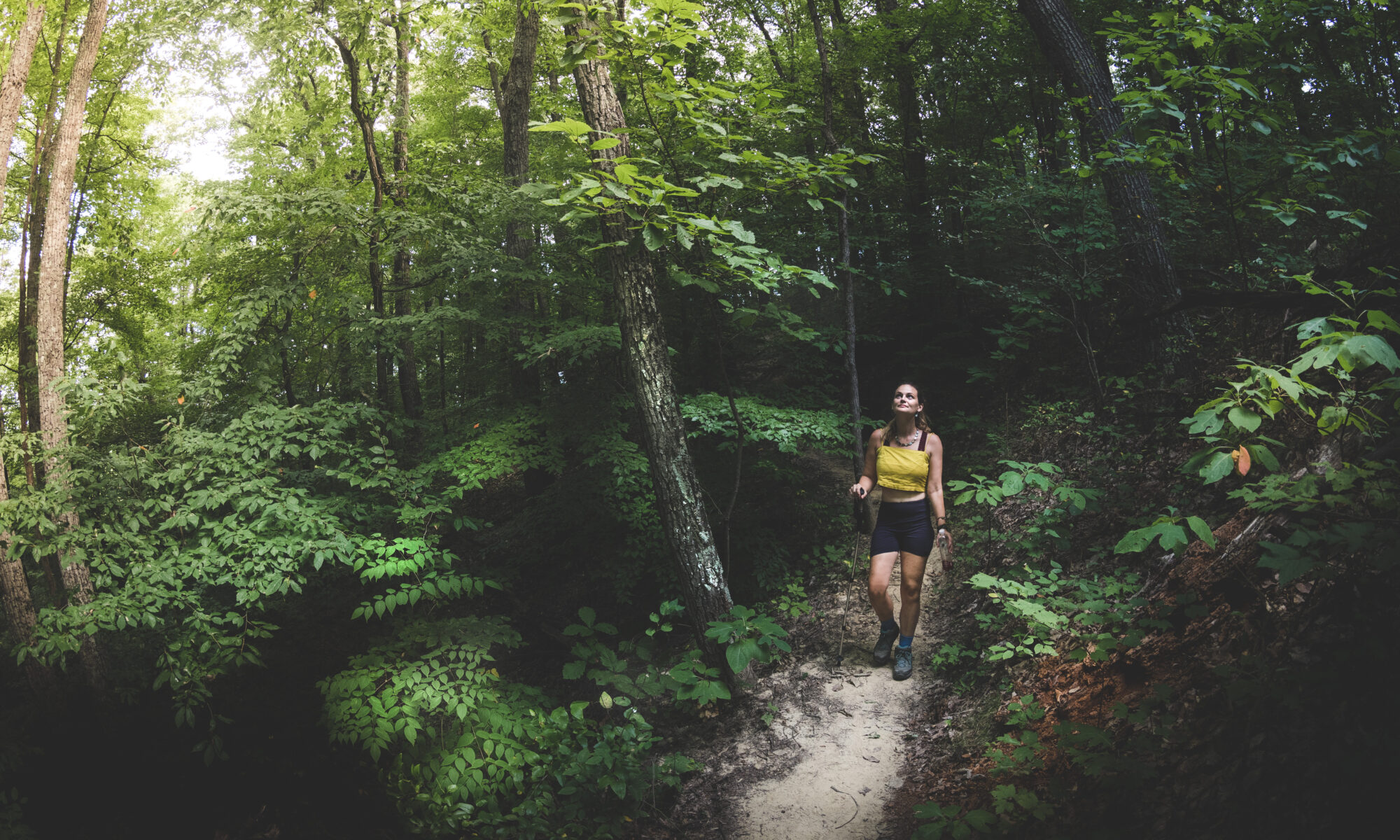 Woman hiking trail in a lush wooded setting at Jackson-Washington State Forest.