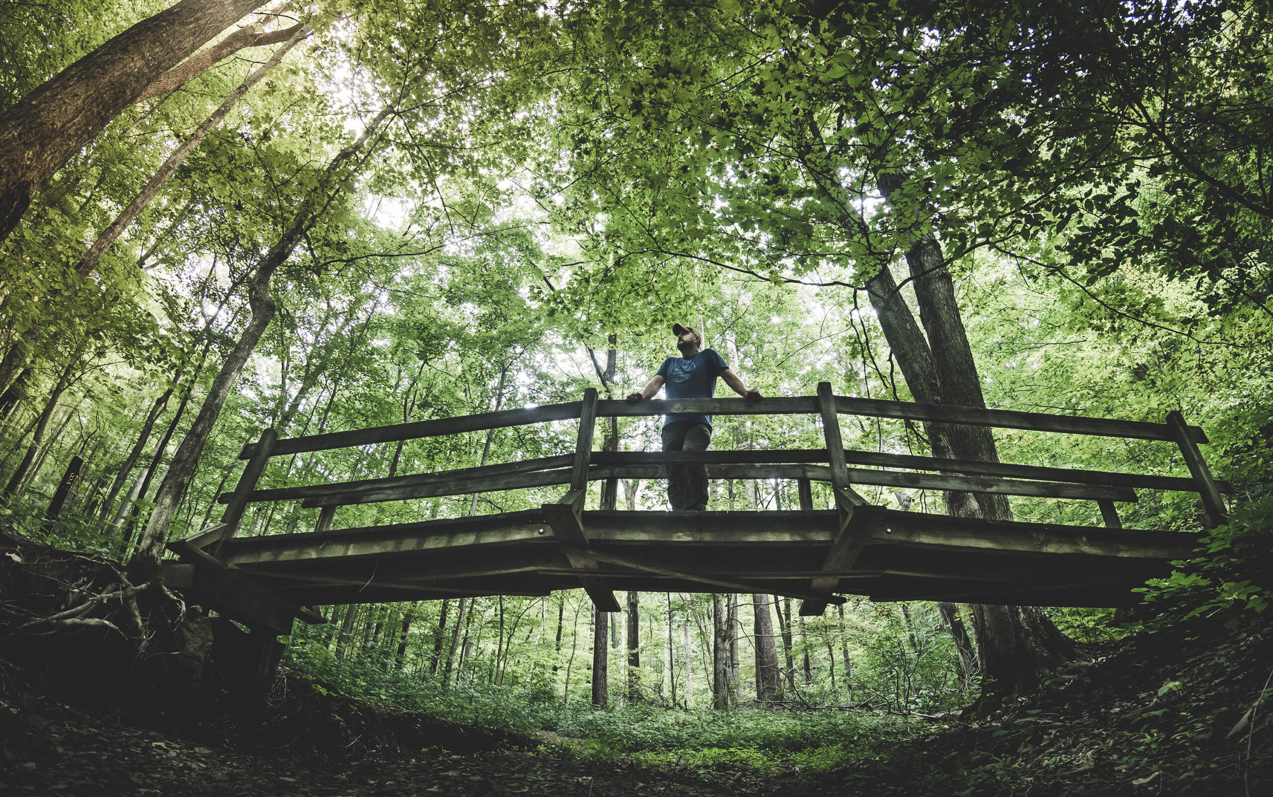Man standing on wooden bridge over dry creek bed along Trail 8 hiking trail in Brown County State Park, Indiana.