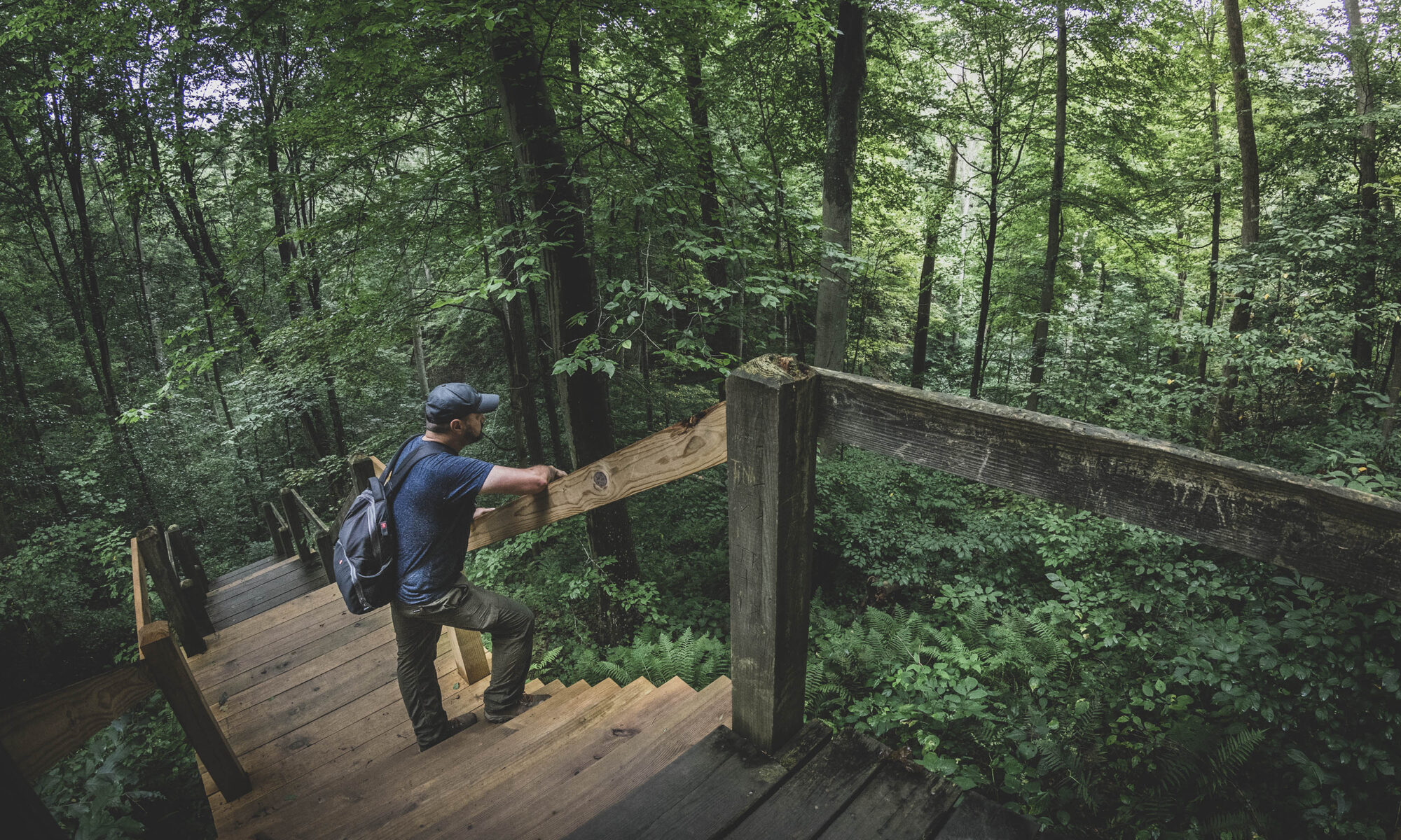 Male hiker leaning on railing of wooden staircase overlooking dense Indiana forest, hiking Trail 5, Brown County State Park, Indiana.