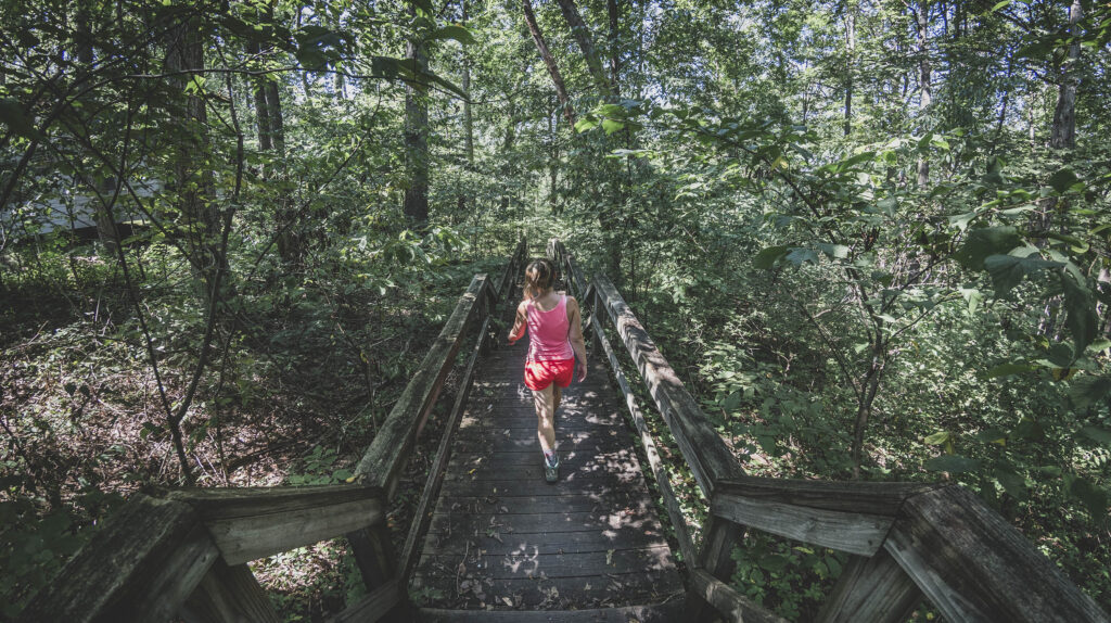 Woman hiker walking down wooden staircase on Trail 1 at Brown County State Park, Indiana.
