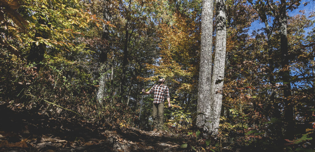 Man hiking in autumn forest on Trail D, Brown County State Park, Indiana.