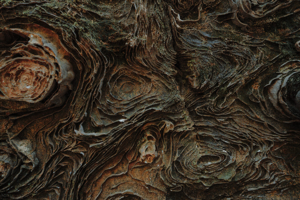 Interesting wavelike geological formations in a slump rock at Red River Gorge.