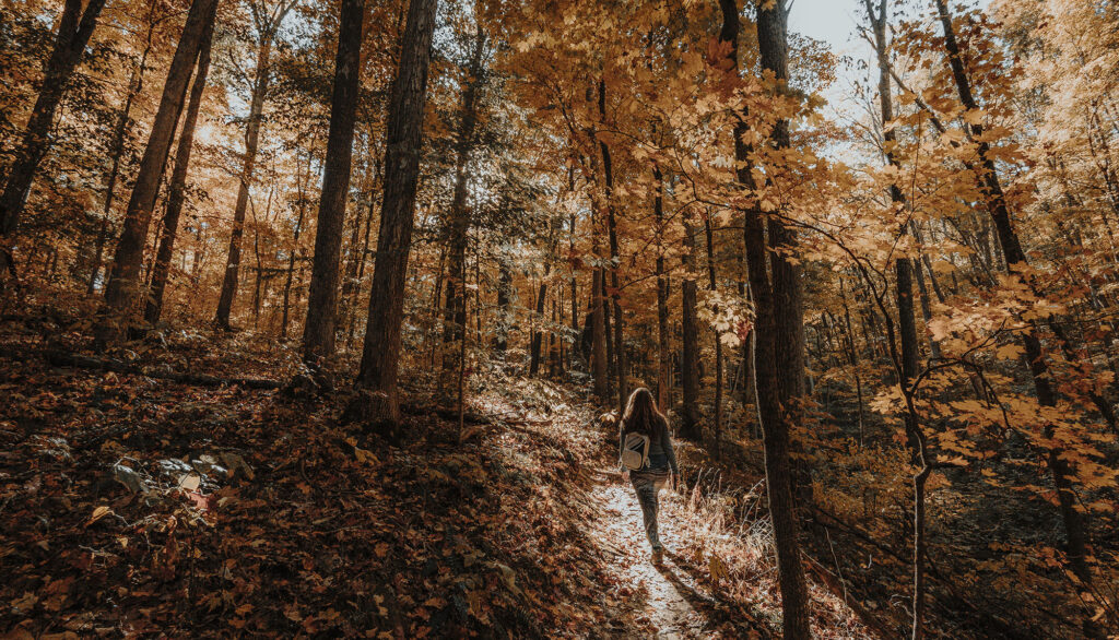 Woman hiking Aynes Loop multi use trail in Brown County State Park.